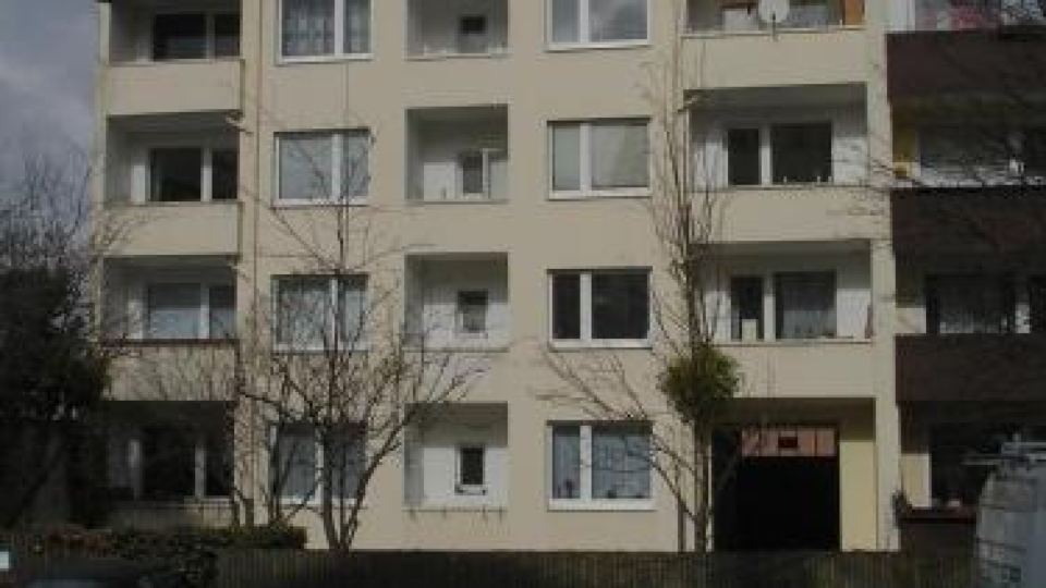 Lebendiges Linden