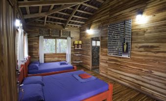 a room with wooden walls and ceiling , featuring two beds with blue sheets and red headboards at Macaw Lodge