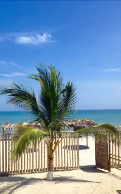 Villa de Playa Con 10 Habitaciones Hotels in 
