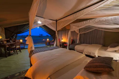 Serengeti Woodlands Camp - Bintang 3