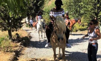 a group of people , including a man and a woman , are riding horses down a dirt road in a rural setting at La Roseraie