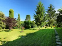 Il Gelsomino