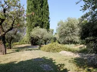 Palomar