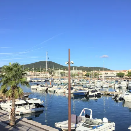 Les Pins Dorés