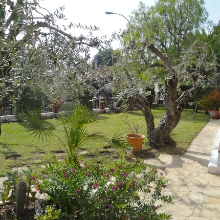 Mas Baixuli