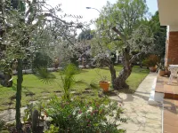Mas Baixuli