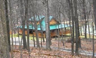 a log cabin nestled in a wooded area , surrounded by trees and with a dirt road nearby at Diamond Lake Cabins