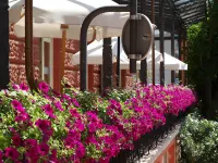 Villa Olea Hotels in Matulji