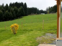 Le Clos des Sapins - Chalets
