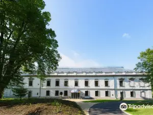 Hotel Gino Park Palace
