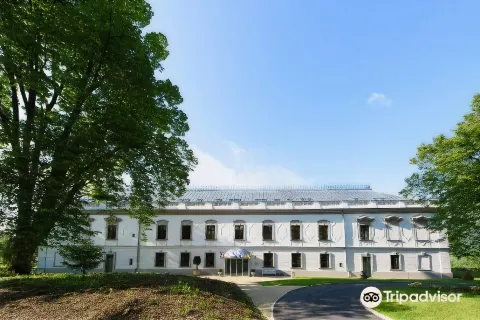 Hotel Gino Park Palace