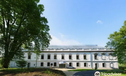 Hotel Gino Park Palace