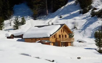 Hôtel Alpen Ruitor Hotels near Les 3 Vallées