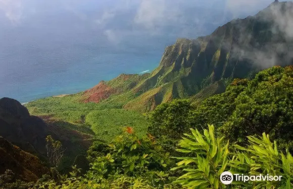 幽隱灣坡伊普海灘酒店