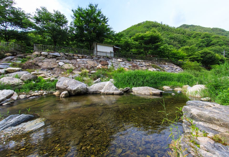 가평 미뇽의숲 펜션, 수영장 보유 후기, 예약 및 특가 확인 - 가평군 호텔 추천 | 트립닷컴