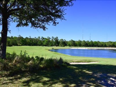 Surroundings #64C True Blue - 3 Br Home by RedAwning Photo