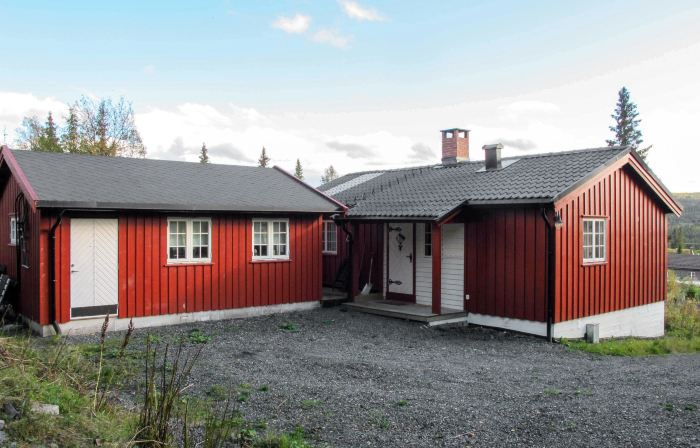 Skeisvegen