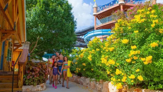 The Resort at Schlitterbahn