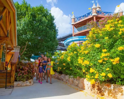 The Resort at Schlitterbahn Hotels in Comal County