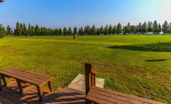 Timbers at Island Park