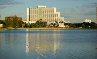 Pullman Miami Airport