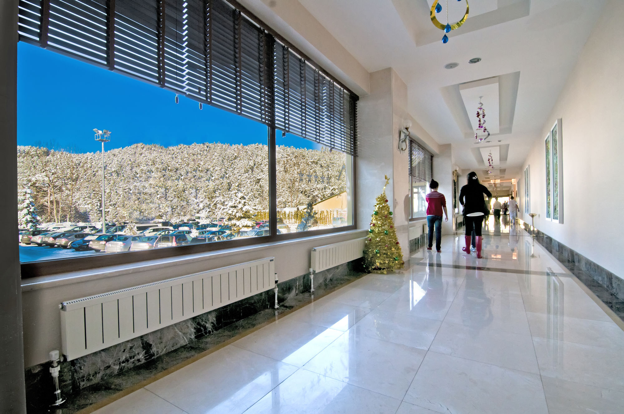 Büyük Abant Oteli (Buyuk Abant Hotel)