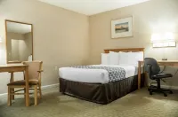 Econo Lodge Buffalo South Hotels in Eden