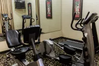 Sleep Inn & Suites Stafford - Sugarland - Gym