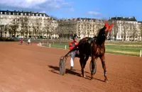 Ibis Caen Porte de Bretagne Hotels in Louvigny