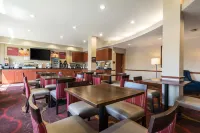 Comfort Suites Tampa Airport North Hotel di Citrus Park