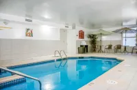 Hotel le Versailles - piscina