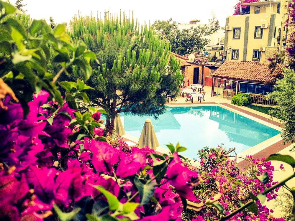 Moonshine Hotel & Suites