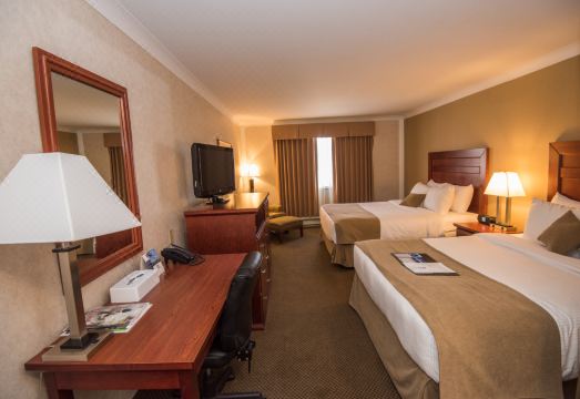 베스트 웨스턴 골드 러시 인