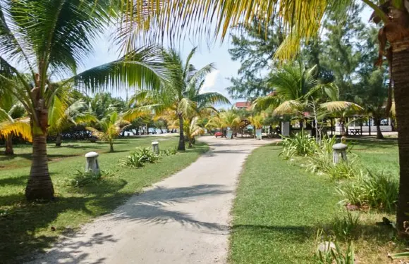 海眼酒店 - 熱帶建築