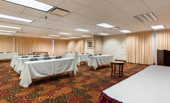 Comfort Inn Falls Church - Tysons Corner