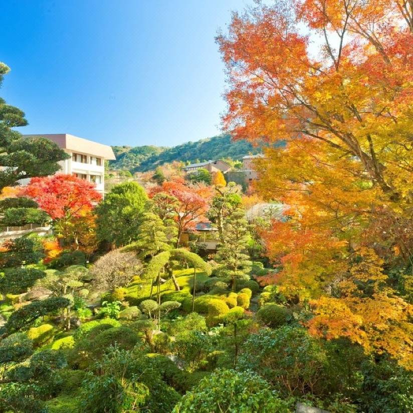 箱根湯本温泉 吉池旅館 箱根 を宿泊予約 22年安い料金プラン 口コミ 部屋写真 Trip Com