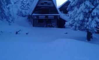 Luxury Apartments Anja - Housity