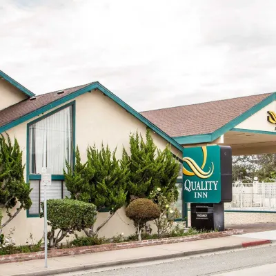 スコティッシュ フェアウェイ イン デル・モンティ・ビーチ周辺のホテル