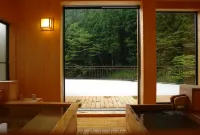 아카기 온센 호텔 - 온천