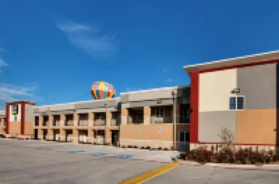 스코티시 인 화이트 세틀먼트