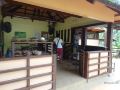 sheridan-organic-farm-and-eco-village-palawan