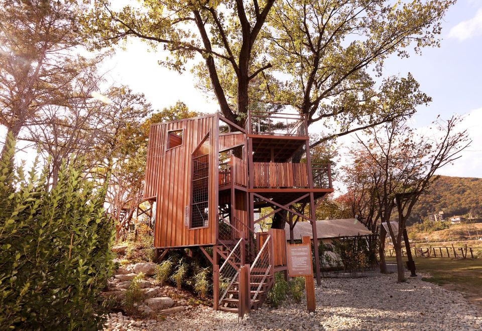 마이다스 호텔 전경