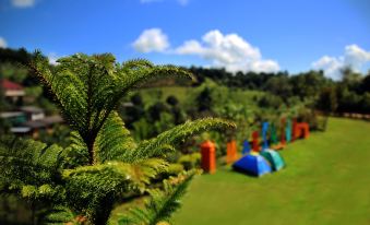 Hongfu Boutique Resort - Housity