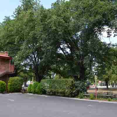 貝斯特韋斯特大教堂汽車旅館 Hotel Exterior