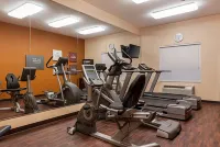 Comfort Suites Sulphur-Lake Charles - Gym
