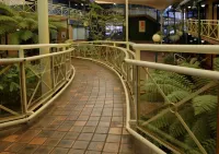 Mayfair Plaza Motel and Apartments Hotels in Sandy Bay