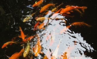 The Watergarden Hotel & Spa