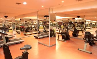 a well - equipped gym with various exercise equipment , such as treadmills , stationary bikes , and weight machines at Prestige Hotel