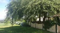 Daylesford A Very Quiet Abelia Cottage Botanical Cottage 10 Min Walk Town