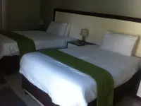 舒適棕櫚旅館